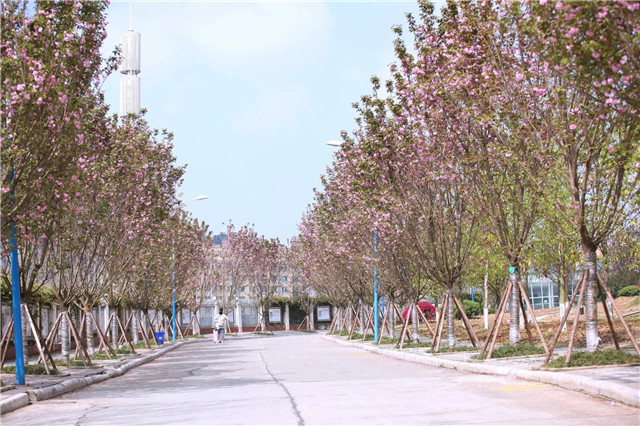 1605677348401721.jpg 3.jpg