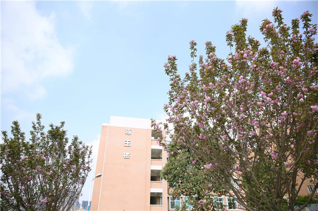 1605677381899413.jpg 6.jpg