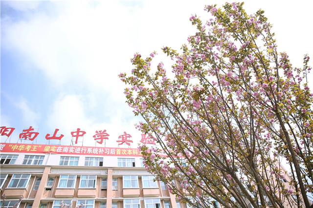 1605677401483662.jpg 8.jpg