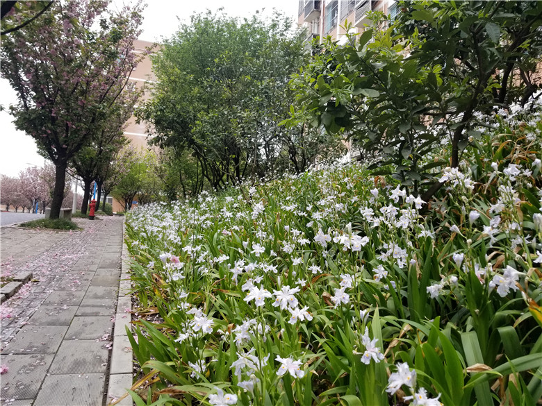 1619225633970984.jpg 0 (4).jpg