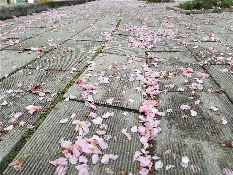 1619225665542746.jpg 0 (5).jpg