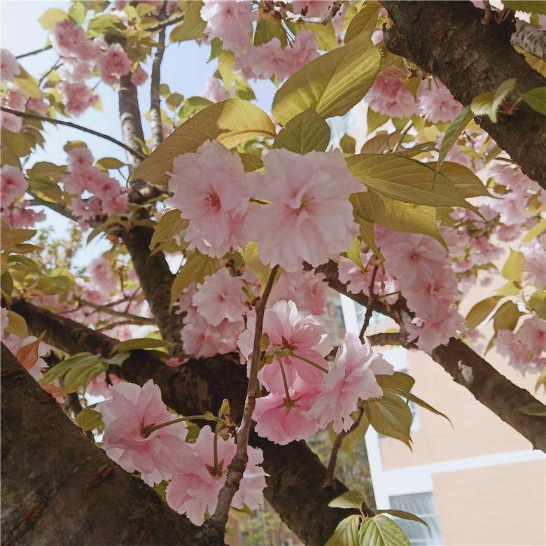 1619226028215968.jpg IMG_20210328_111656.jpg