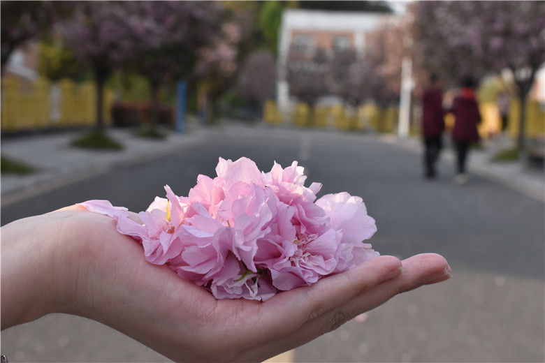 1619227325992623.jpg DSC_0589.jpg