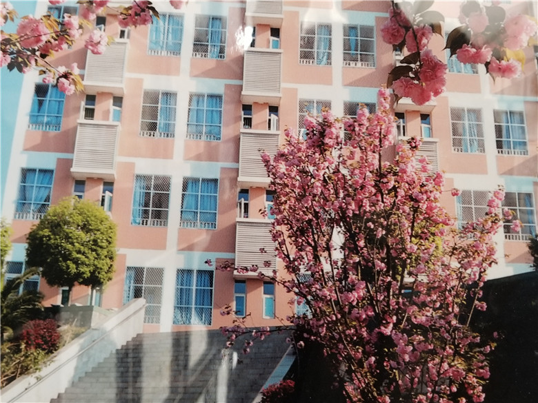 1622366377495044.jpg 1619225623228202.jpg