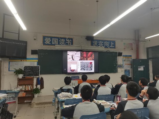 1652862299754840.jpg 圖片4.jpg