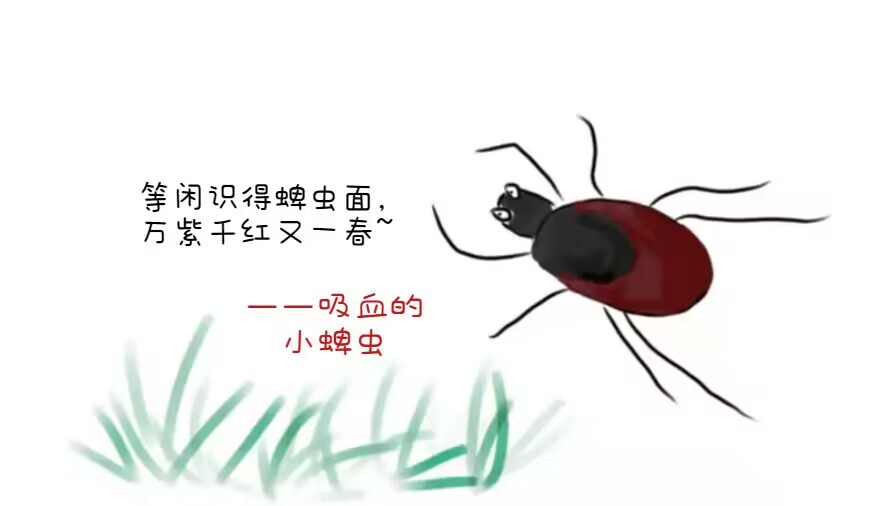 1681953356759292.jpg 517BBDA3B33E6DDD73AAEE82942EEDCE.jpg