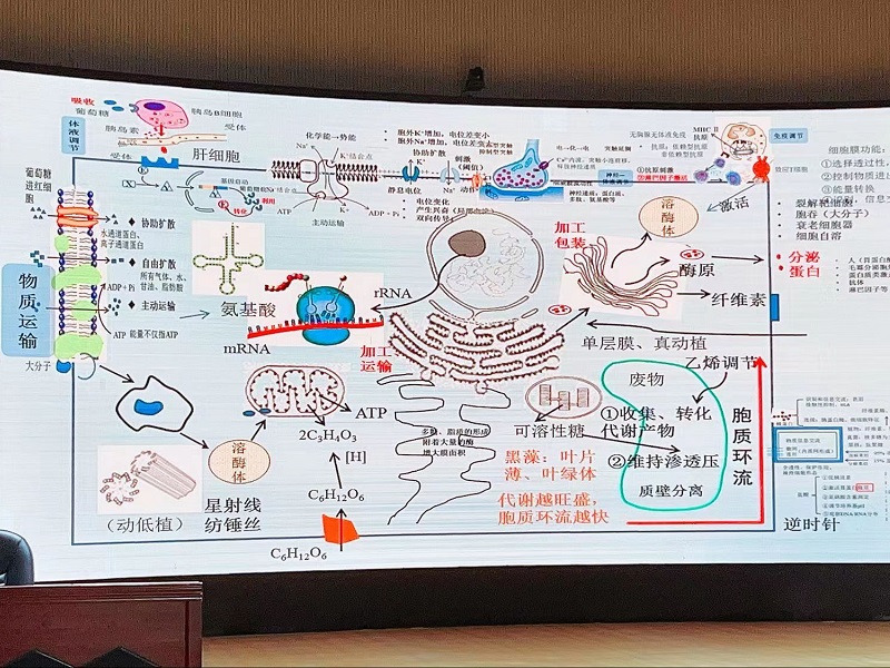 1683169584896089.jpg 微信圖片_20230504104748.jpg