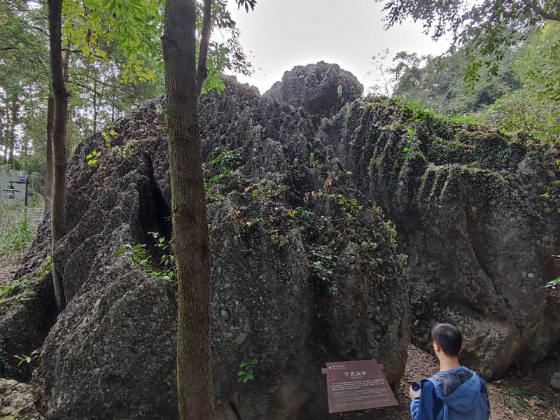 1699948677341308.png 圖片2.png