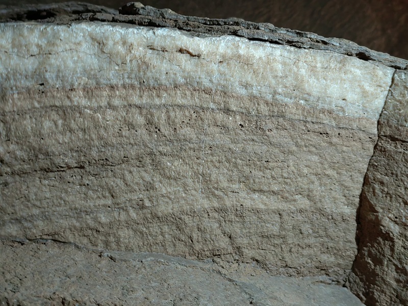 1701068326772649.jpg 1.jpg