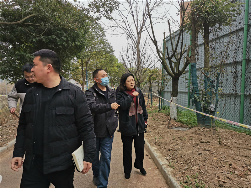 1710234198314710.jpg 004.jpg