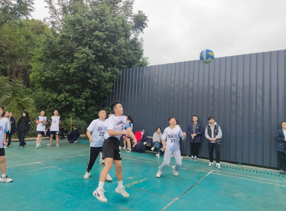 1731550124570975.png 0851df5f-80d4-44f3-925d-4aa1f3f9a6bf.png